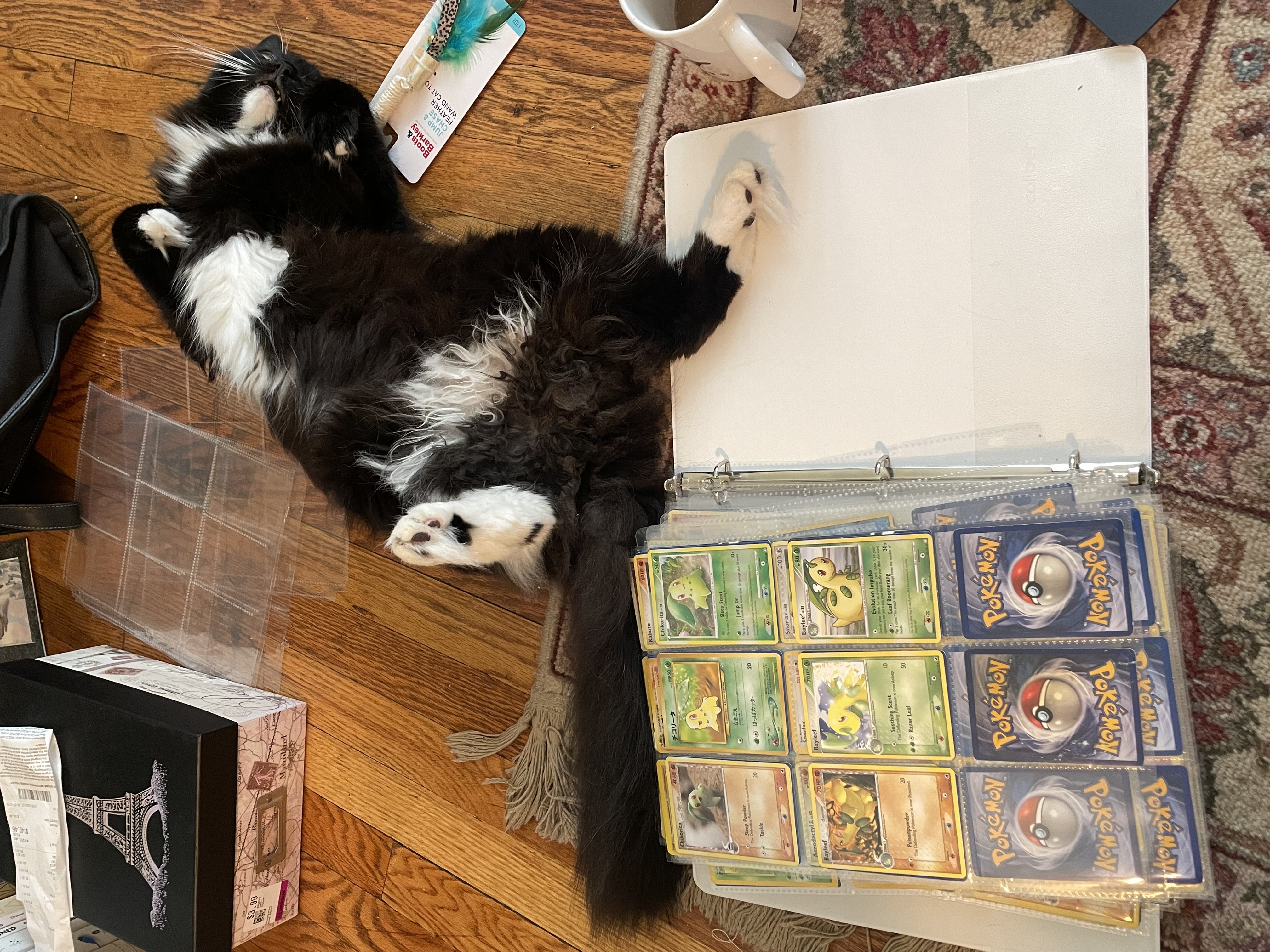 BO card