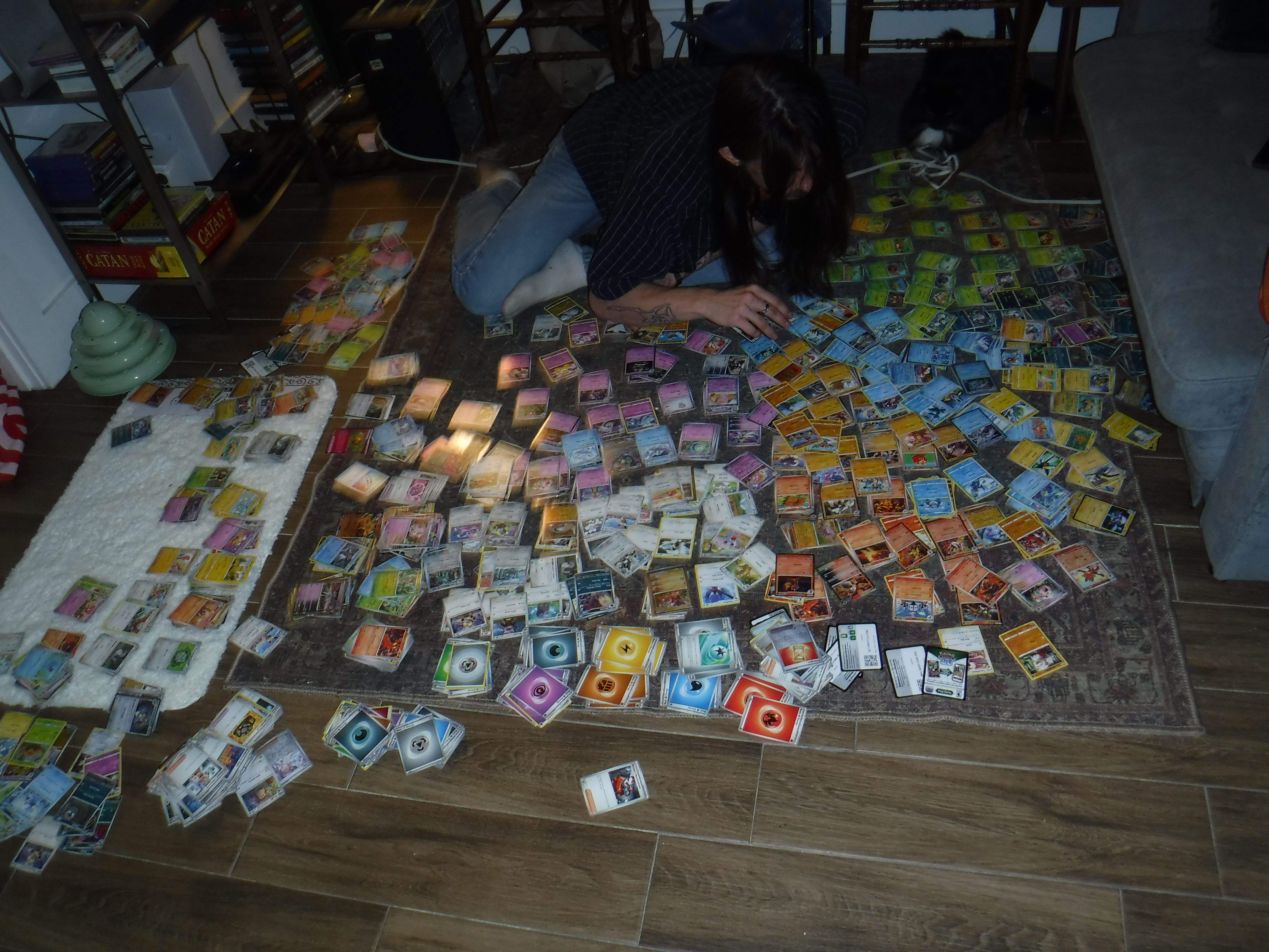 Daniel with cards