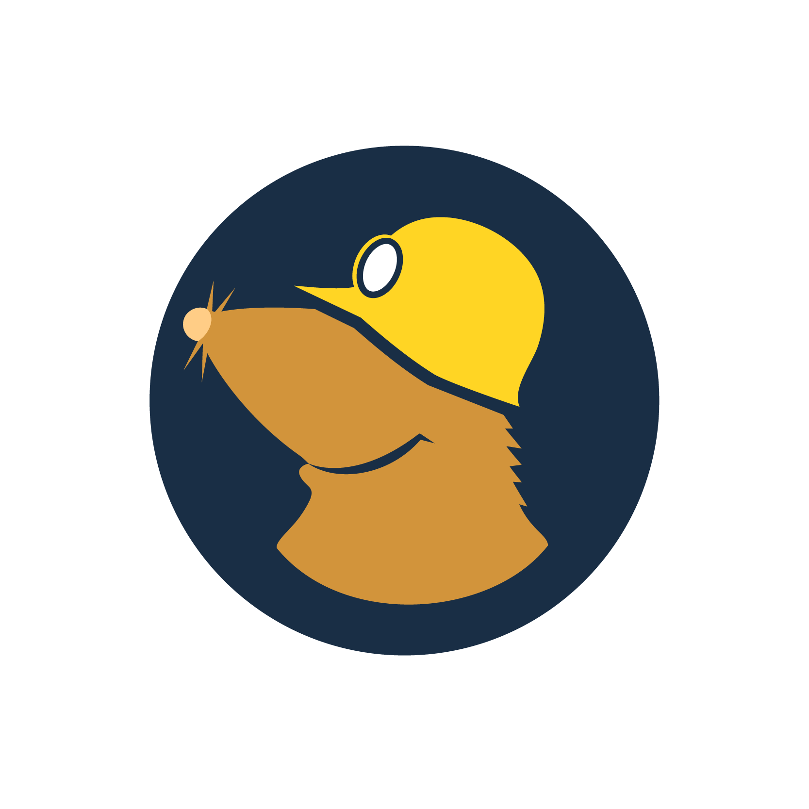 Mullvad Browser